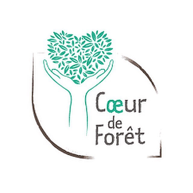 ?Engagement?

Afin de réduire mon empreinte carbone et avoir toujours une démarche plus engagée et eco responsable J’avais informé les visiteurs du @festivalandy en avant première que j’offrirais à chacune de mes mariées 2019 un arbre à planter en Bolivie auprès de la super association @coeurdeforet ???✨
Et vous si vous offriez un arbre pour noël ?!
Dans l’action du défis @onestpret .
.
#ecoresponsable #empreintecarbonezero #empreintecarbone #nature #arbre #arbreaplante 
#onestpret #defis #reforestation #reforest #plant #plantation #forest #earth #protection #association #coeurdeforet #forest #green #bride #bride2019 #saisonmariage #bridetobe2019 #makeupartist #greenmakeup #hairstyle