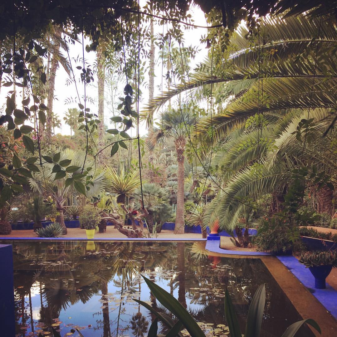 ✨Jardins de Marjorelle✨

Il y a deux mois j étais là dans au  magnifique @lesjardinsdemajorelle avec l’équipe @zaomakeup_official ✨
Quelle beau souvenir ?
Avec le retour du froid et du vent de ses derniers jours on a plus que jamais hâte d’être au printemps ma saison préféré ✨
Et vous quelle est la votre ?
.
.
#jardin #garden ##flowers #jardinsdemajorelle #lesjardinsdemajorelle #nature #spring  #travel  #decouverte #naturelle #beautyofnature #lovegarden #water #naturesauvage #beautiful #love #zen #marrakech #maroc #marrakechtrip #makeuptravel #makeupartist